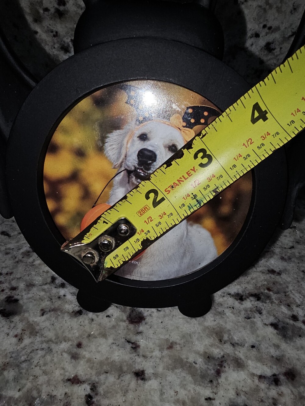 Bat Picture Frame Halloween Fall Small Never Used - Picture 4 of 4